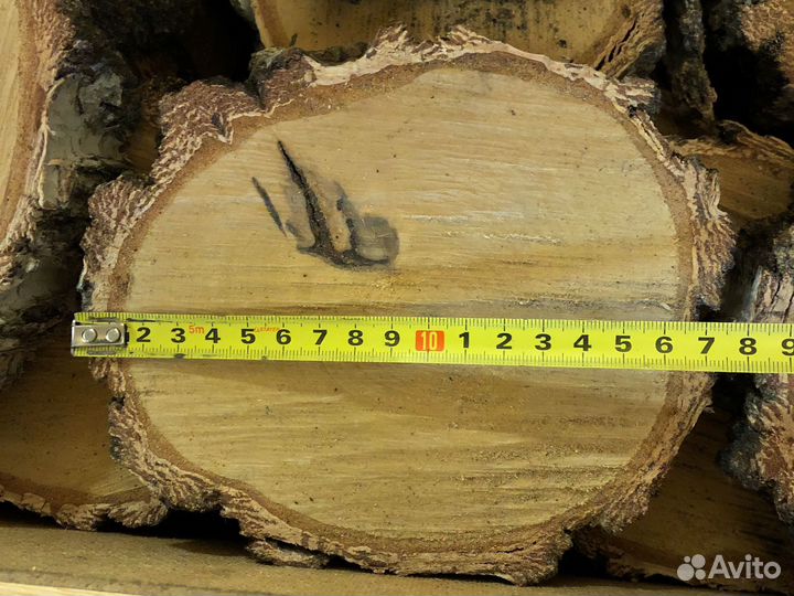 Слэб дерева и спилы березы
