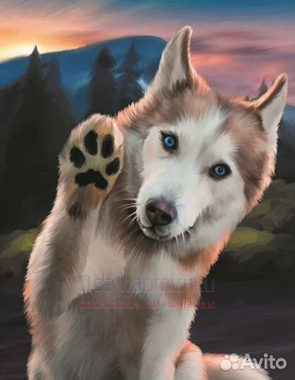 Алмазная мозаика 40x50 Добрый пес в горах