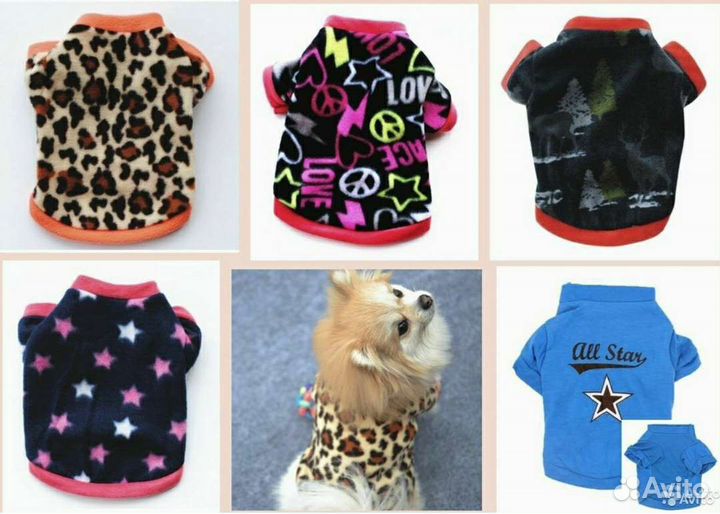 Одежда L, поводок, обувь, расческа, пакетики