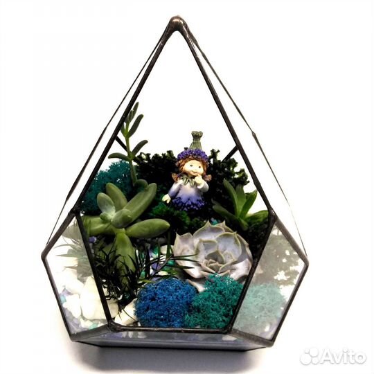 Флорариумы и композиции