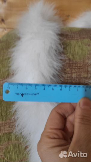 Боа из пуха марабу 2м,только белое