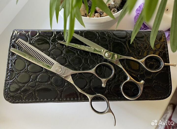 Ножницы в чехле TE-scissors, Kapous 5,5