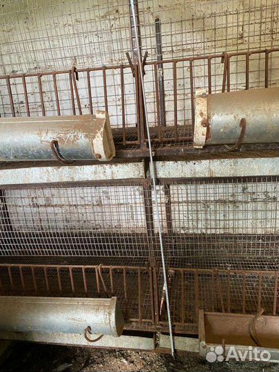 Клетки для кур бройлеров