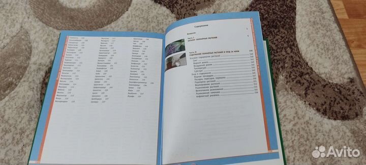 Энциклопедия комнатных растений