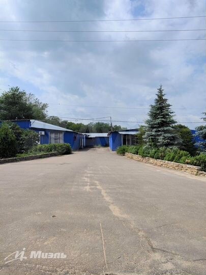 Организованное производство