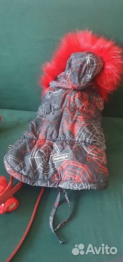 Зимняя куртка для собаки, ботинки, ошейник