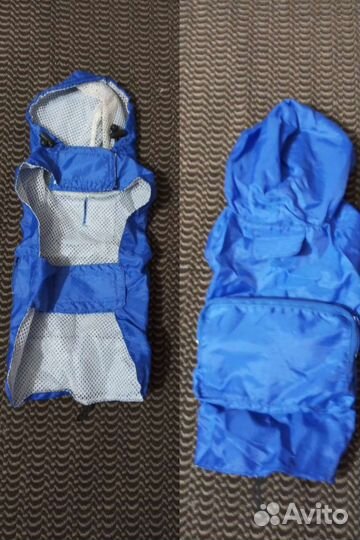 Одежда для мини йорка