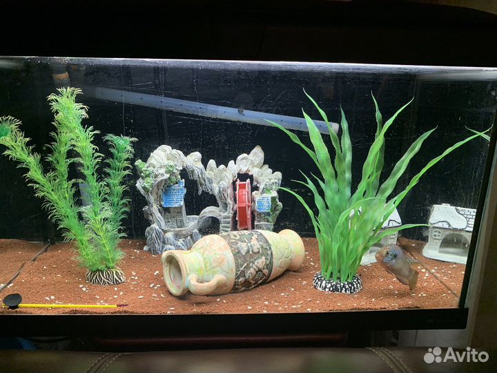 Аквариум под ключ