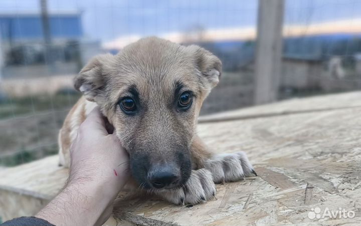 Миша и Соня