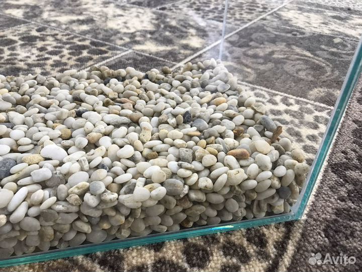 Галька жемчужная (пресноводная)