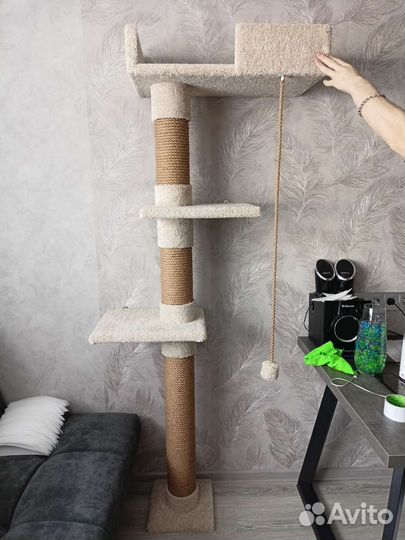 Когтеточка домик для кошки новый