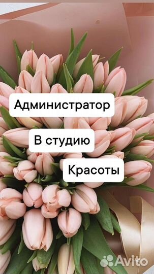 Администратор (подработка)