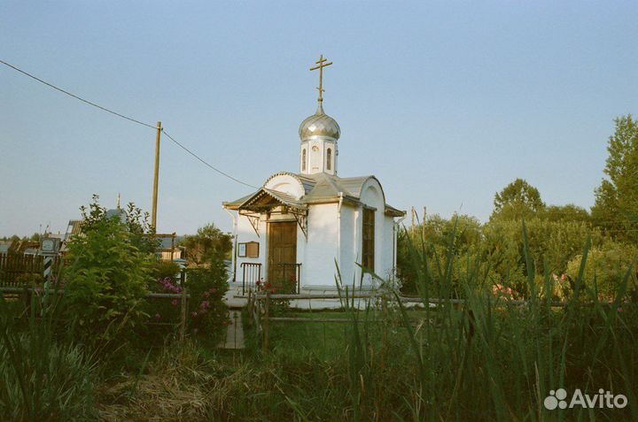 Цветная Киноплёнка Fujifilm Eterna 250D