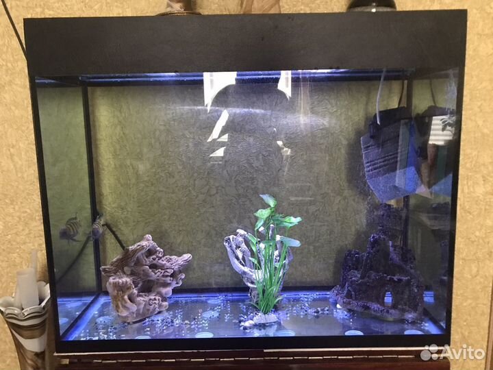Аквариум