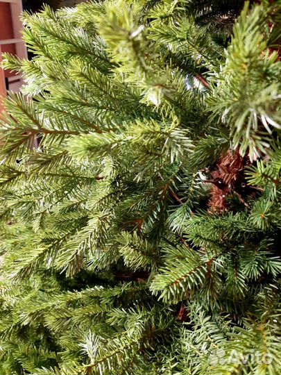 Елка искусственная литая премиум