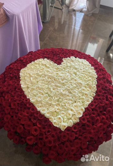 Розы цветы букеты 25 51 101