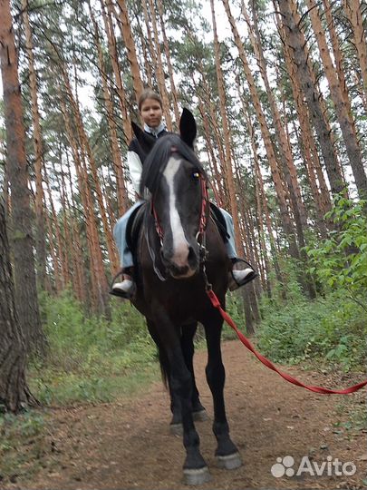 Продам кобылу