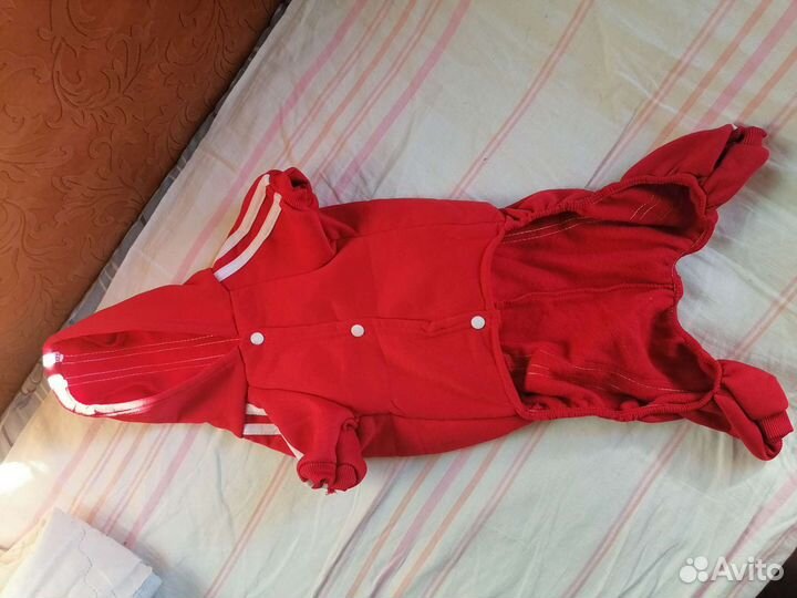 Костюмчики для собаки