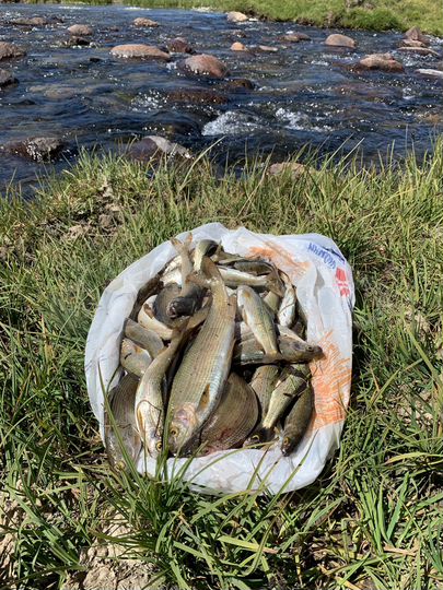 Участок 3,24 га (СНТ, ДНП)