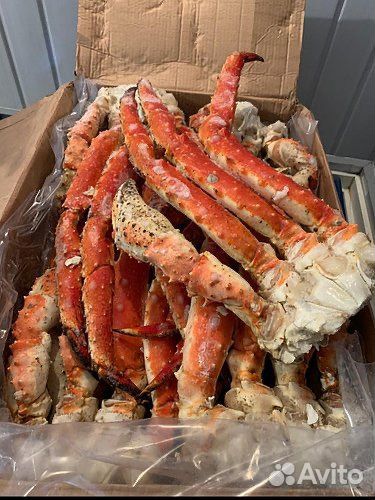 Клешни Камчатского краба