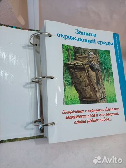 Энциклопедия Deagostini на кольцах Тайны леса