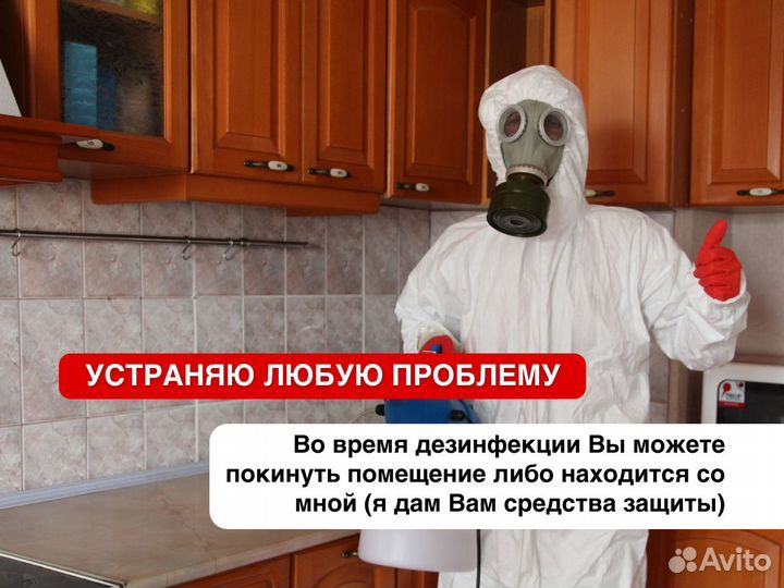 Уничтожение тараканов, уничтожение клопов