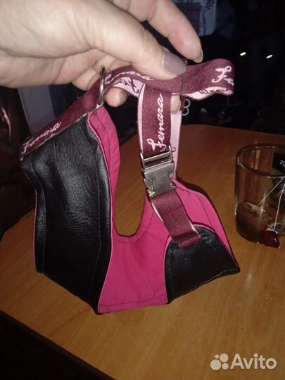 Шлейка для маленькой собаки