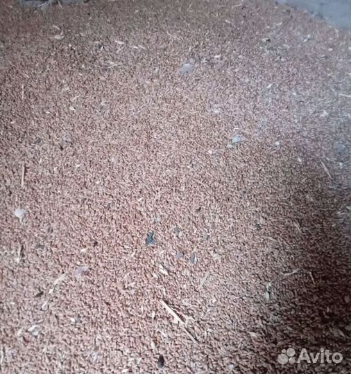 Соя, Сахарная свёкла на корм