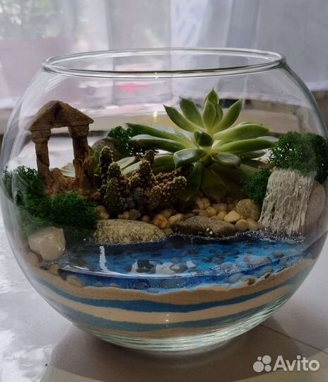 Флорариум из суккулентов с водоемом и водопадом