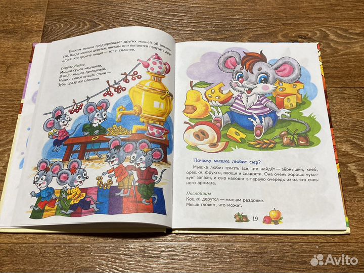 Книга для детей Удивительный мир животных