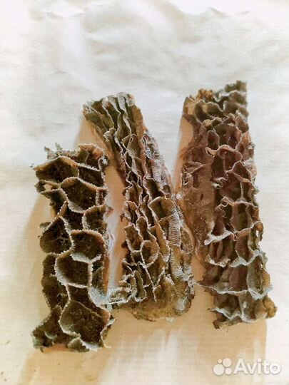 Лакомства для собак