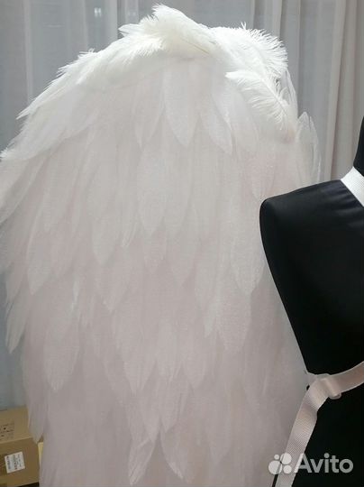 Крылья ангела