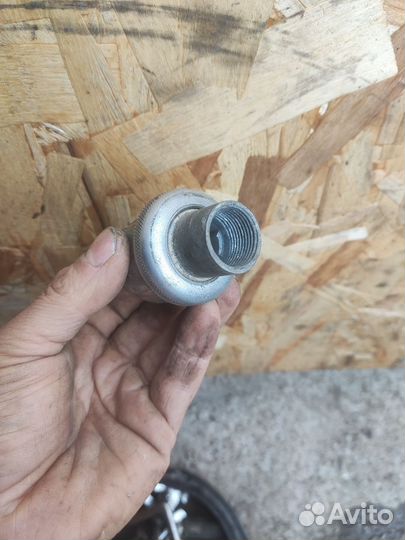 Поворотник Вятка