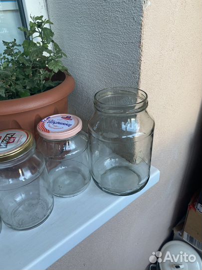 Цена за всё