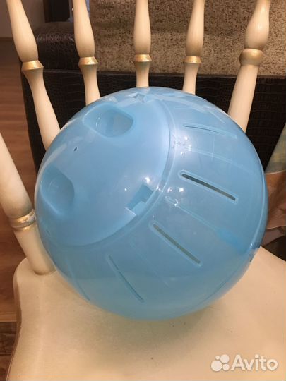 Шар для крысы прогулочный