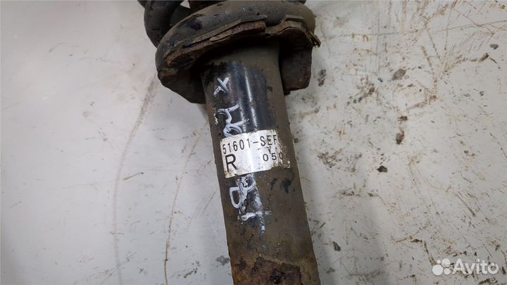 Амортизатор подвески Honda Accord 7, 2005