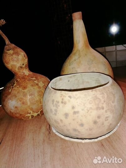 Семена тыквы посудной лагенарии