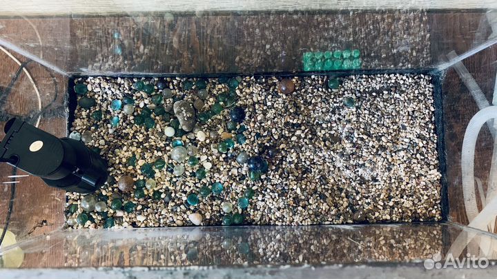 Аквариум 60л. (с фильтром и декорациями)