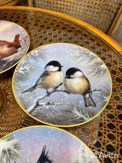 Настенная тарелка птицы
