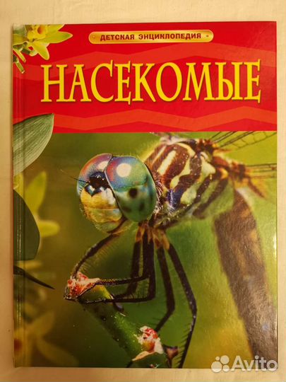 Насекомые - детская энциклопедия