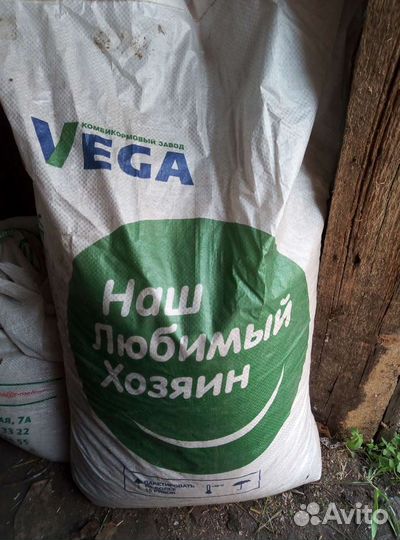 Поросята