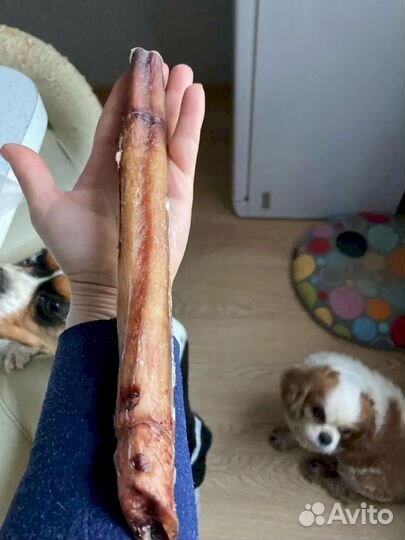 Опт лакомство. Без накруток