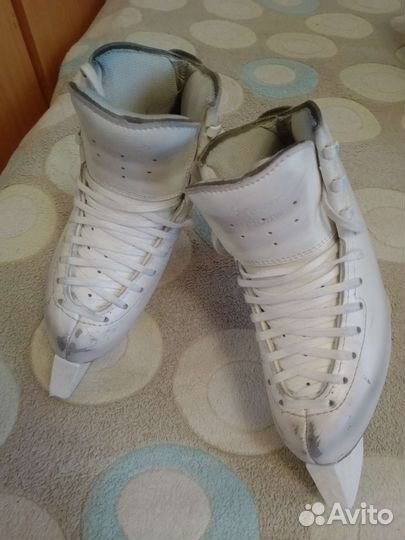 Коньки Edea motivo