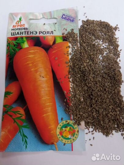 Семена моркови, капусты, укропа, кинзы и свёклы