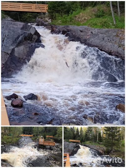 Индивидуальные прогулки по Северному приладожью