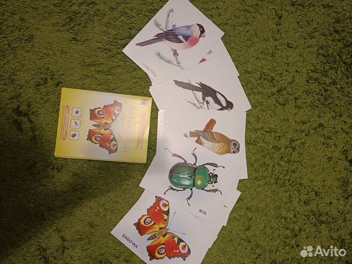 Демонстрационный материал Карточки