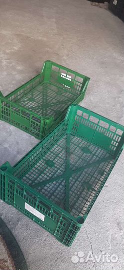 Пластиковые ящики для овощей и грибов бу, разные