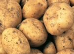 Продам картофель сорт Гала без химии