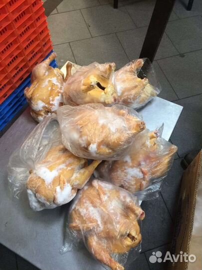 Куры халяль