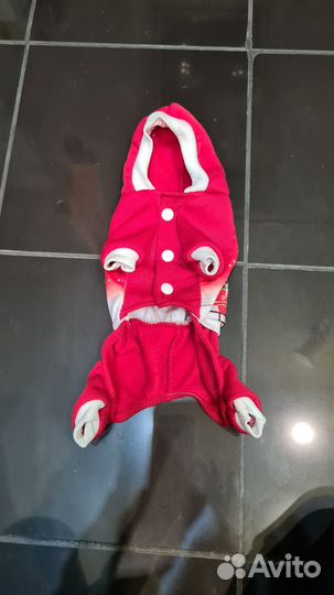 Одежда для маленьких собак